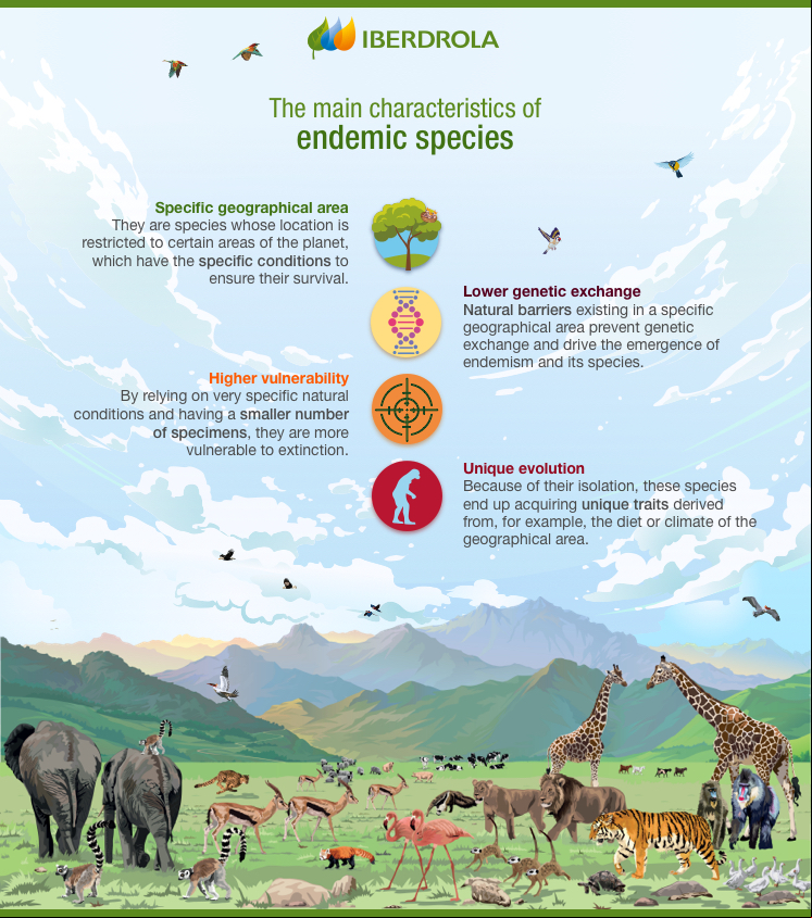 The main features of endemic species.