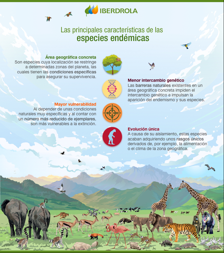 Las principales características de las especies endémicas.
