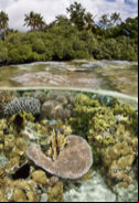 Biodiversidad