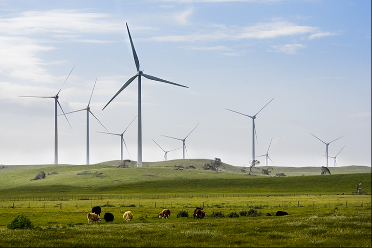 Iberdrola adquire seu maior parque eólico onshore do mundo com 1.000 MW na Austrália