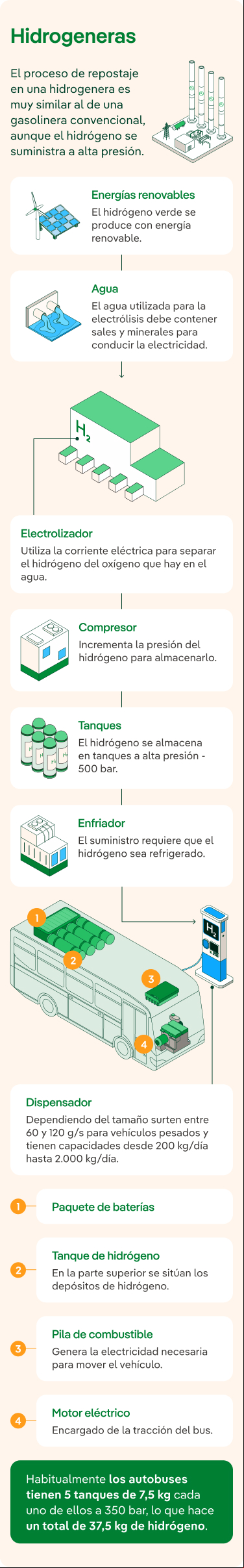 Hidrogeneras