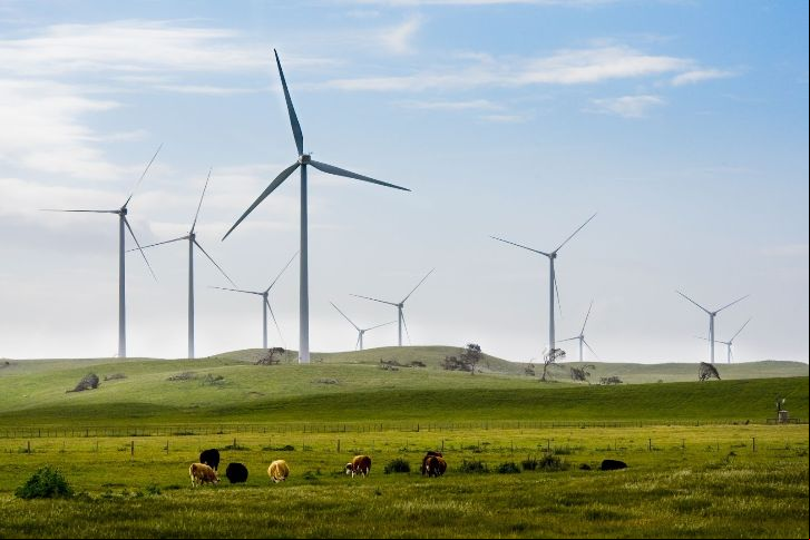 A Iberdrola continua firme em seu compromisso de liderar a revolução energética como a única forma de acelerar a descarbonização e eliminar a dependência dos combustíveis fósseis.