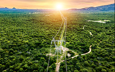linea-brasil
