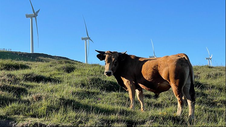 Renovables y agricultura