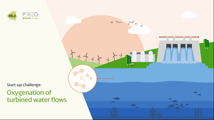 Start-up challenge: oxygenation of turbined water flows