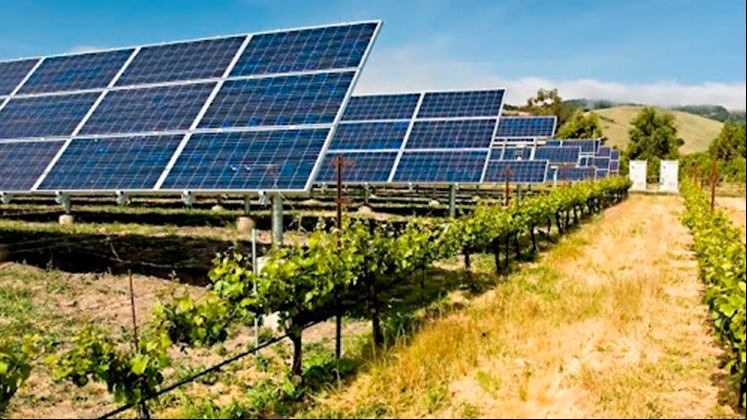 Planta fotovoltaica