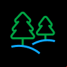 Bosque