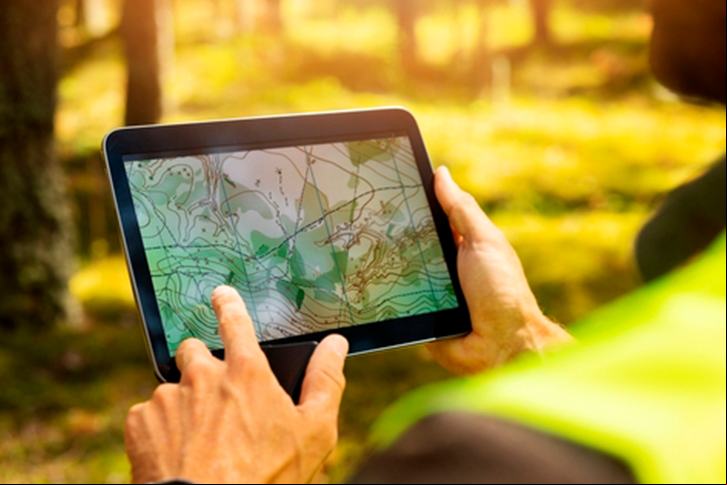 Iberdrola launches Carbon2Nature to reduce the global carbon footprint through nature-based solutions