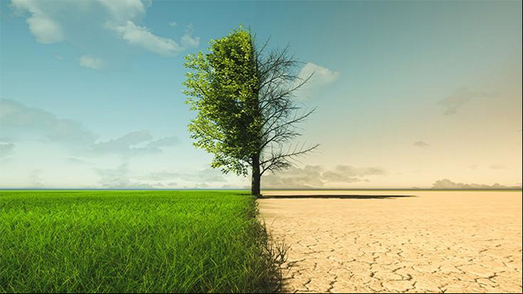 International Day against Climate Change