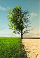 Cambio climático