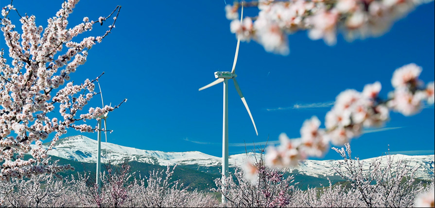 El Reto Iberdrola