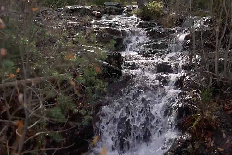 Cascada
