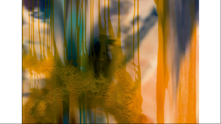'D88L0869', a work in the Iberdrola collection.