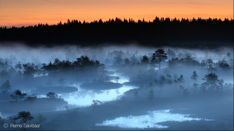 'Early morning bog', Remo Savisaar (Estonia), ganador categoría Paisajes, NPOTY 2017.