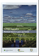 Electricity. Basic manual for lawyers