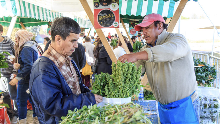 The initiative encourages fair trade as the fresh produce is grown by local farmers. Photo: SEDEMA