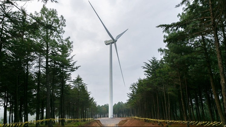 Pier II Wind farm (Mexico).