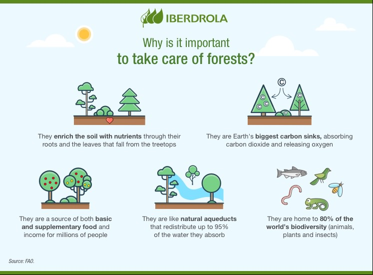 Forests