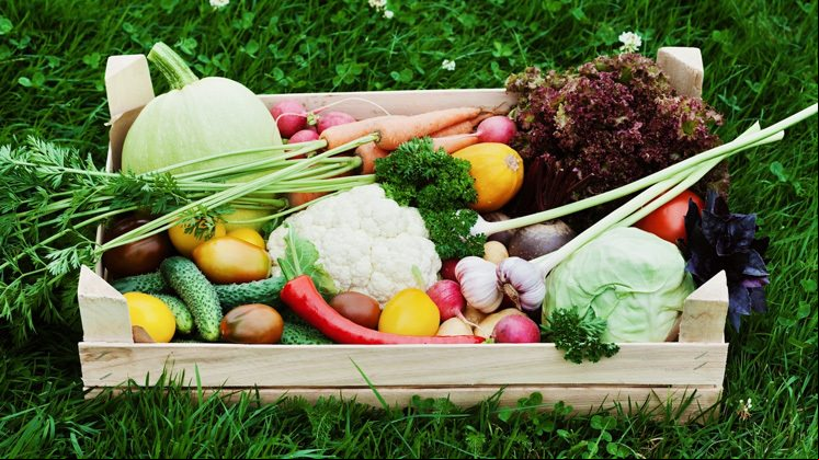 Cesta de productos ecológicos.