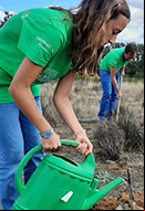 Voluntarios