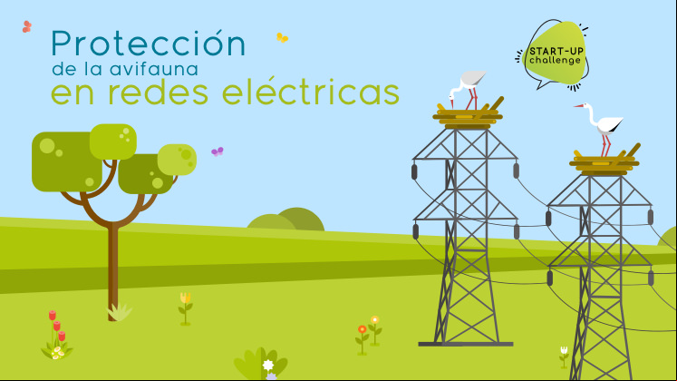 Protección de la avifauna en redes eléctricas.