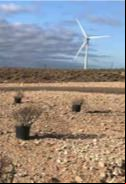 A Iberdrola plantou 3.600 mudas de árvores e arbustos nos arredores do estacionamento adjacente ao Campus Iberdrola em Madri, assim como impulsionou o plantio de 17.000 árvores em Chinchilla (Albacete) e promoveu diversas iniciativas de voluntariado que permitiram plantar mais de 7.690 árvores.