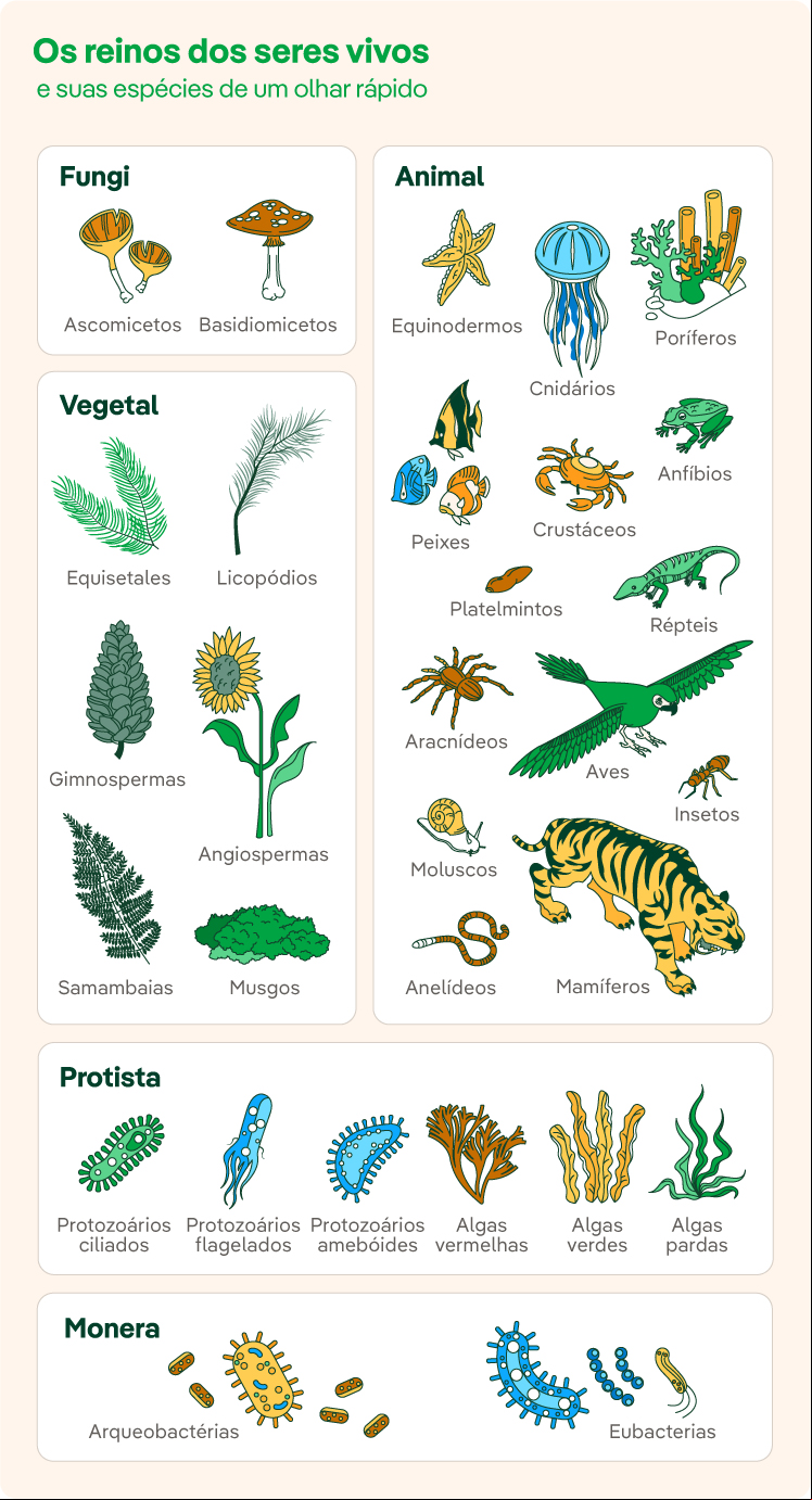 Infografico_Seres_Vivos