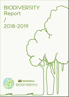 IB_Informe_Biodiversidad_2018_2019