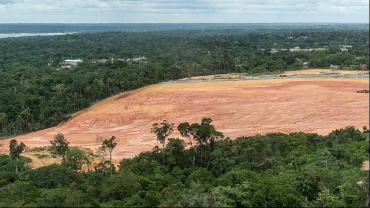 Deforestation in the Amazon, the world's largest forest, is continuing.