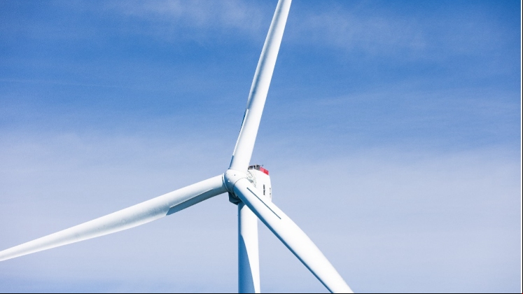 Parque eólico de Iberdrola en Estados Unidos