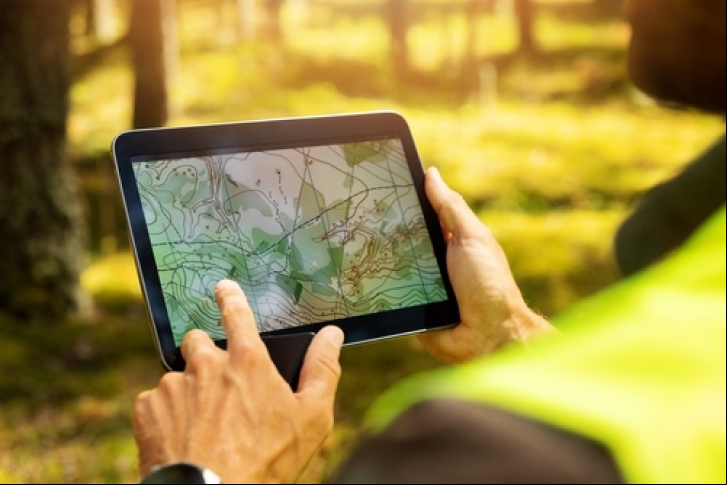 Carbon2Nature and Iberdrola's subsidiary in Brazil sign alliance to reduce carbon footprint