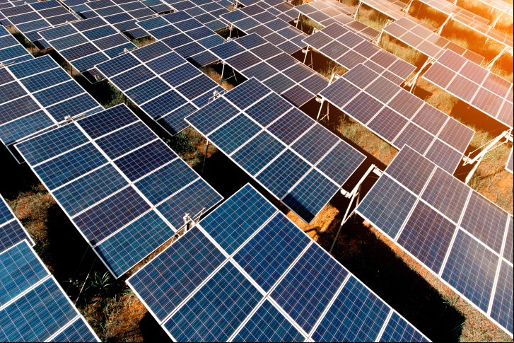 Newsweek reconhece a Iberdrola como uma das empresas mais sustentáveis dos EUA