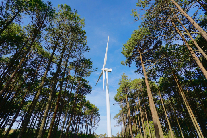 Iberdrola recebe sinal verde para instalar o maior parque eólico de Portugal