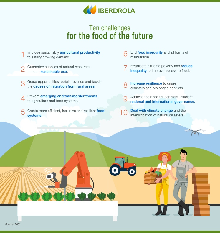 Infografia_Mandamientos_Alimentacion_Futuro