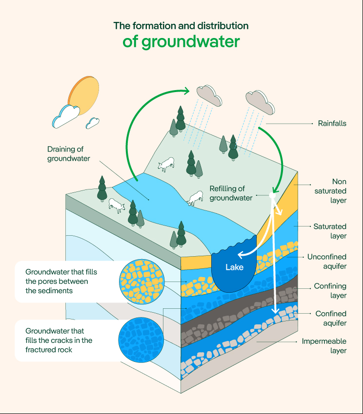 The formation and distribution of groundwater.