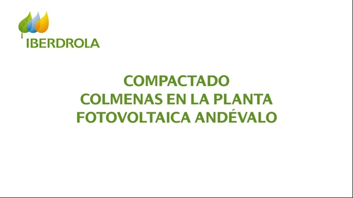 Imágenes dron de colmenas en PFV Andévalo e imágenes de su instalación