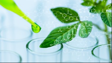 A biotecnologia e seu impacto no mundo de hoje e de amanhã