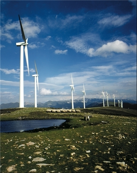 Iberdrola País Vasco Elgea