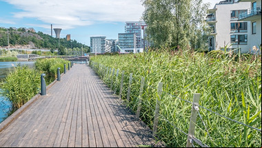 Ecobarrios: la apuesta de futuro de las ciudades sostenibles