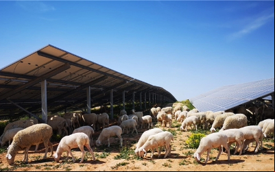Solar power plant in Aragon