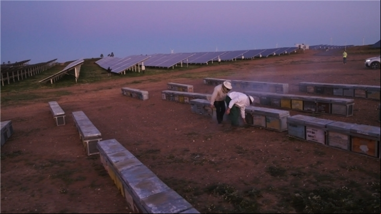 Andévalo solar power plant, in Huelva