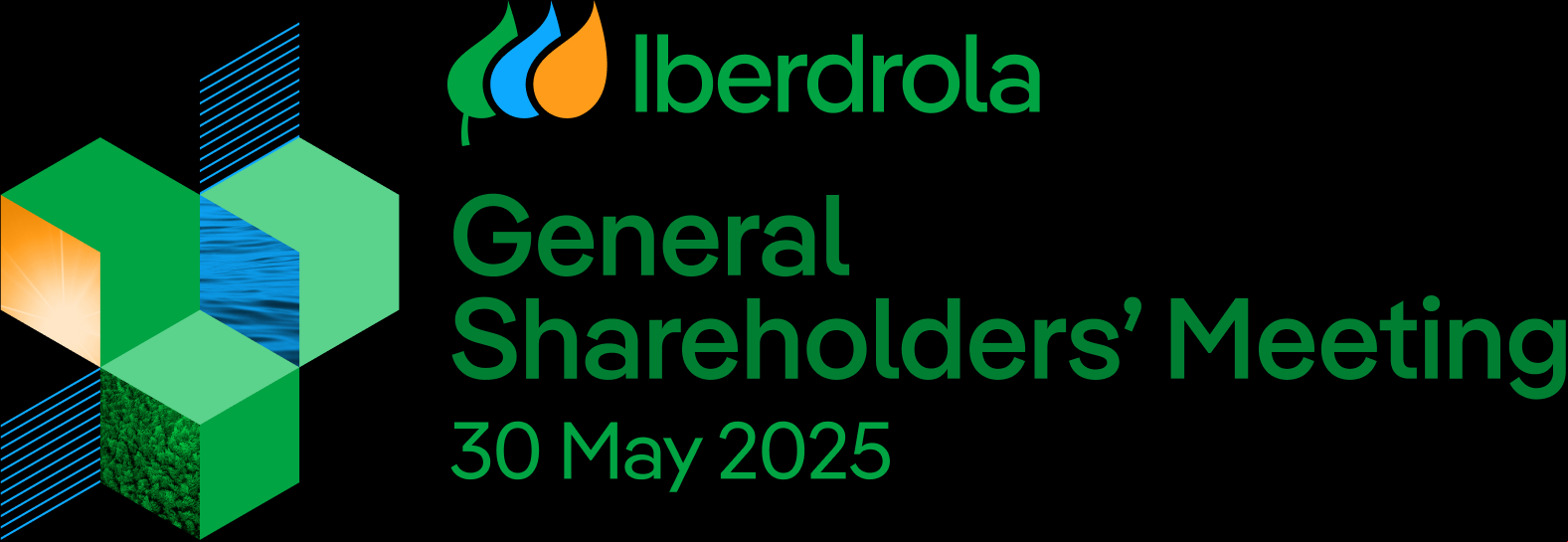 General Shareholders' Meeting
