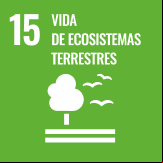Vida de ecosistemas terrestres